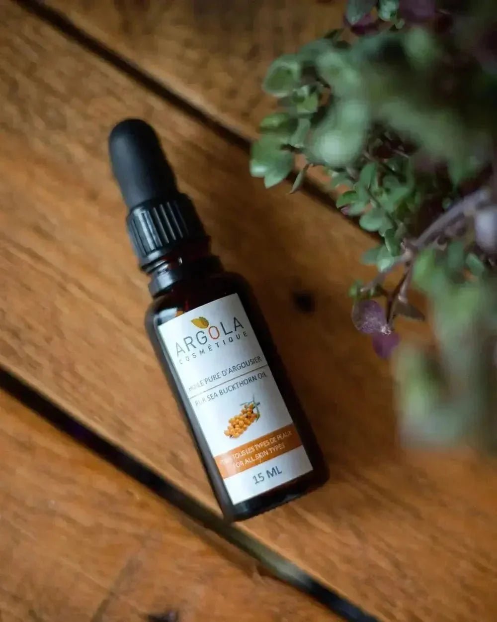 Huile d'argousier visage : le guide complet - Argola Cosmétique